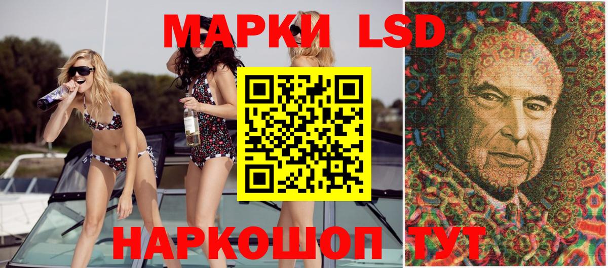 Конопля Лесной
