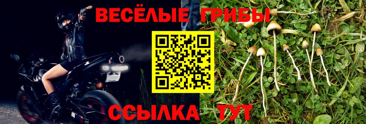 где купить наркоту  Вход с VPN  Галлюциногенные грибы мухоморы  Лесной  Галлюциногенные грибы Magic Shrooms 