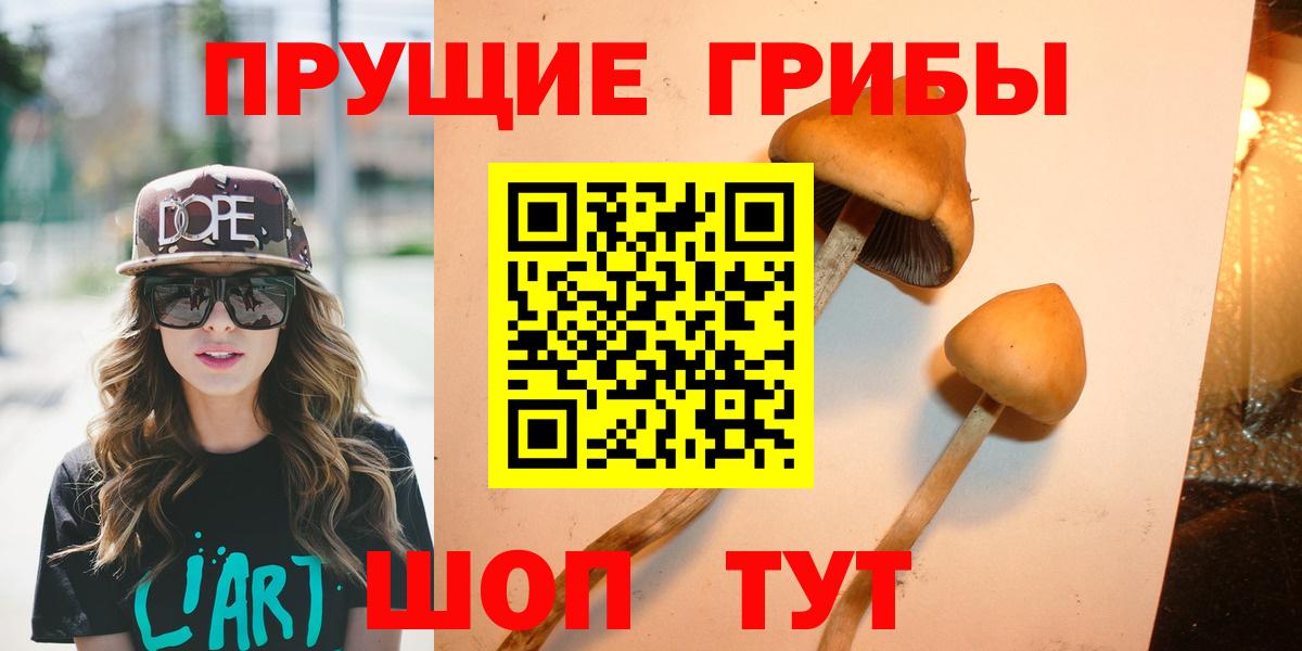 Псилоцибиновые грибы Psilocybe Лесной